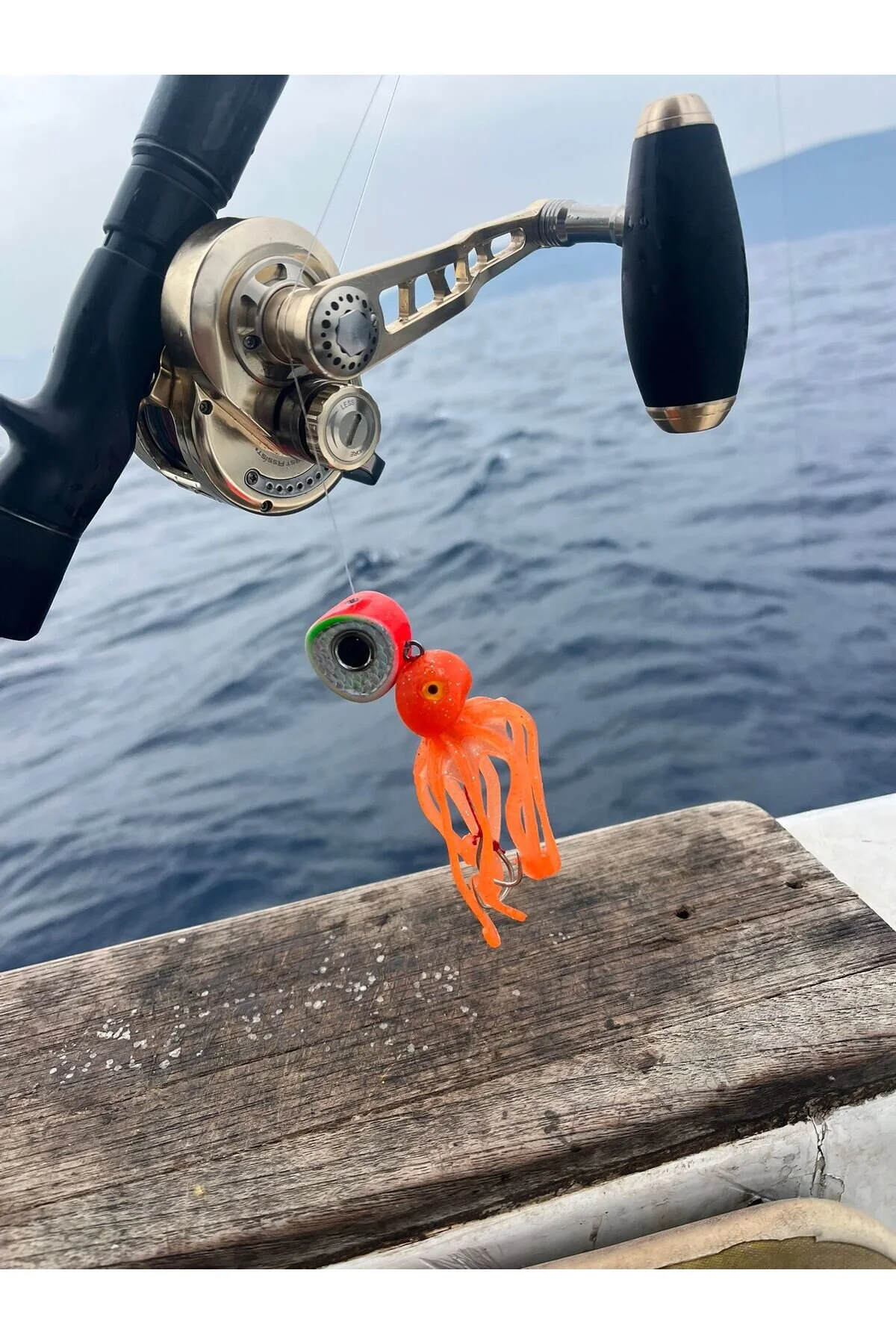 Bebek Ahtapot görseli 2